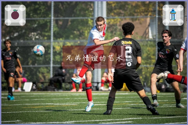 兄弟情谊的艺术